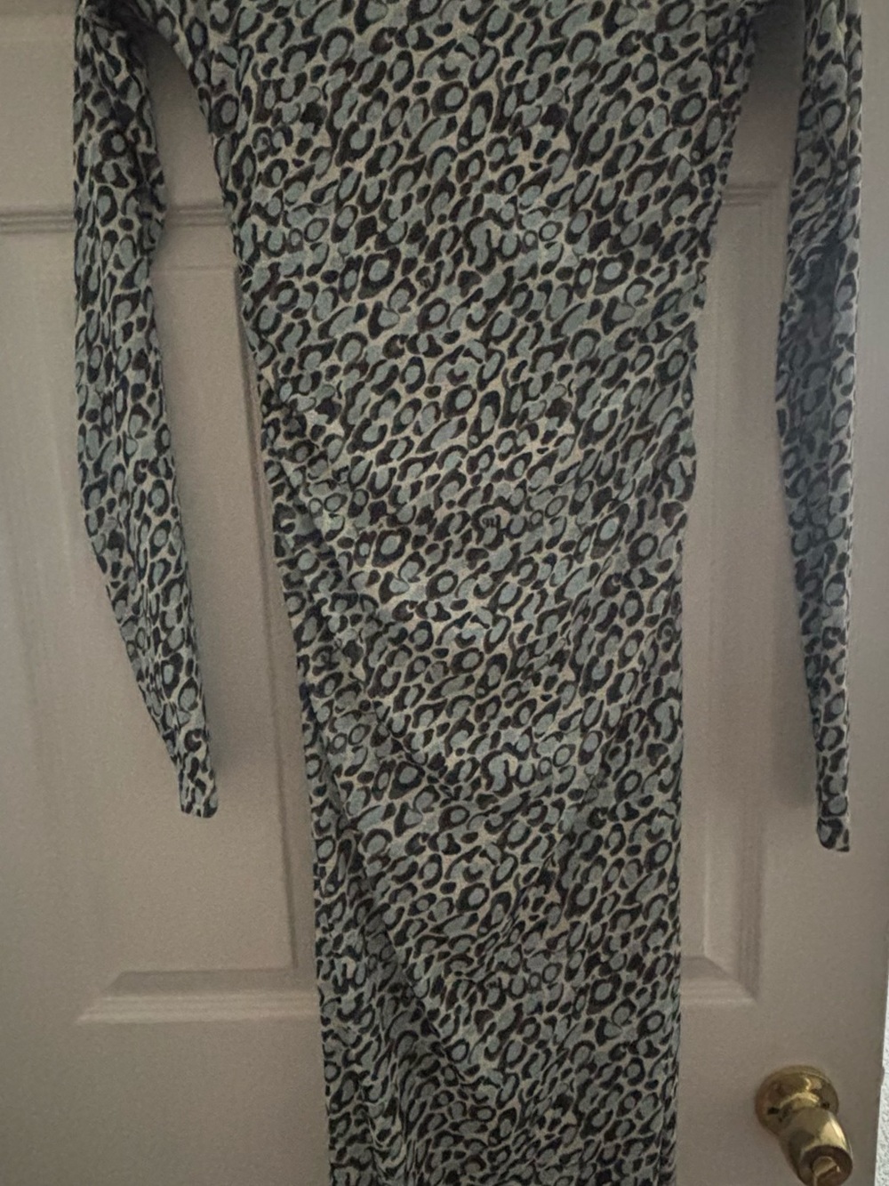 Nanushka Blue and Brown Leopard-Print Long Sleeve Maxi Dress